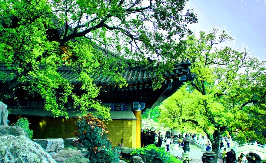 【参观红色革命纪念馆&最强战队】香山 1日红色团建