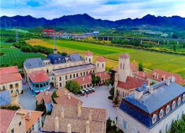 张裕爱斐堡国际酒庄 专业品鉴  休闲1日游
