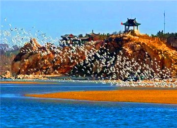 北戴河 闻名中外的旅游度假胜地 风情2日游