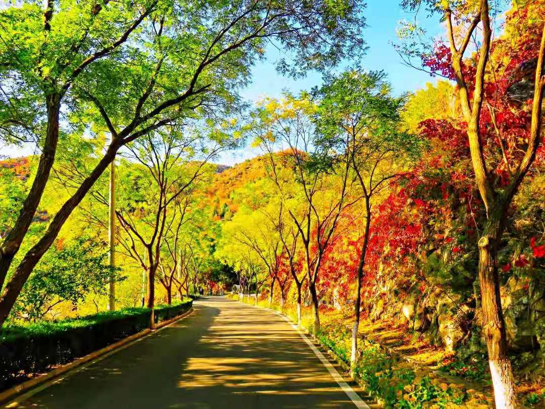 【团队预定】雾灵山庄-会议-年会-团建