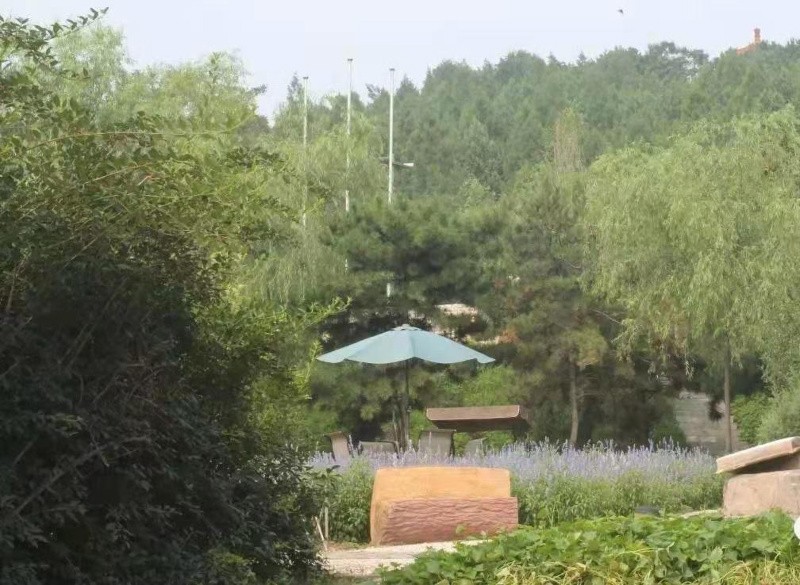 【团队预定】苑林山庄-会议-年会-团建