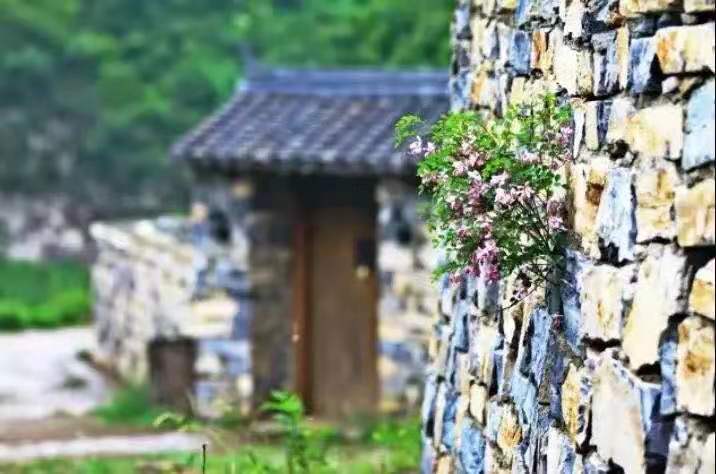 【会议/团建/年会】北京山里寒舍-团队预定