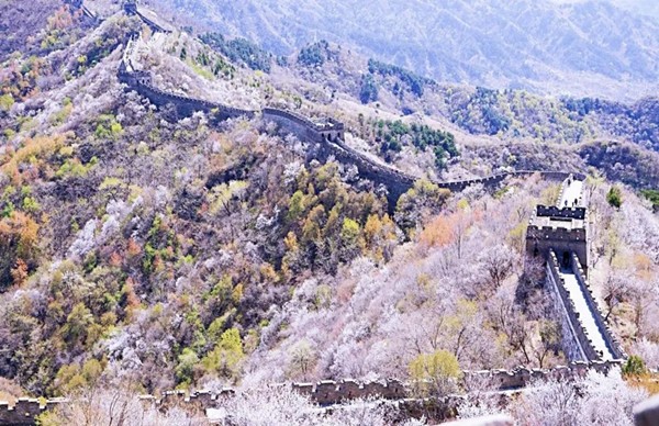 春游团建必选-慕田峪长城-踏青赏花1日主题团建