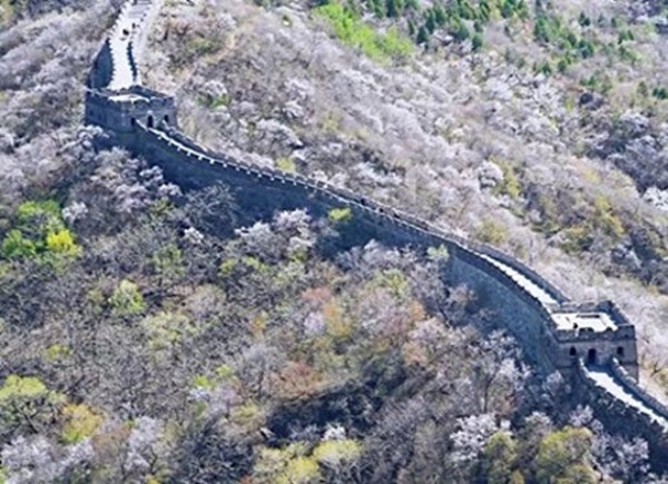 春游团建必选-慕田峪长城-踏青赏花1日主题团建