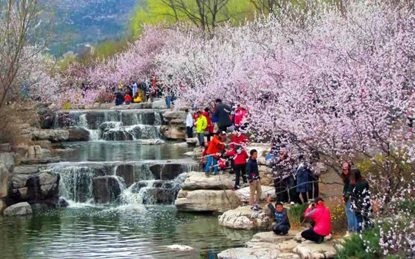 春游团建必选-踏青赏花-北京植物园-手机互联网-最强战队主题团建