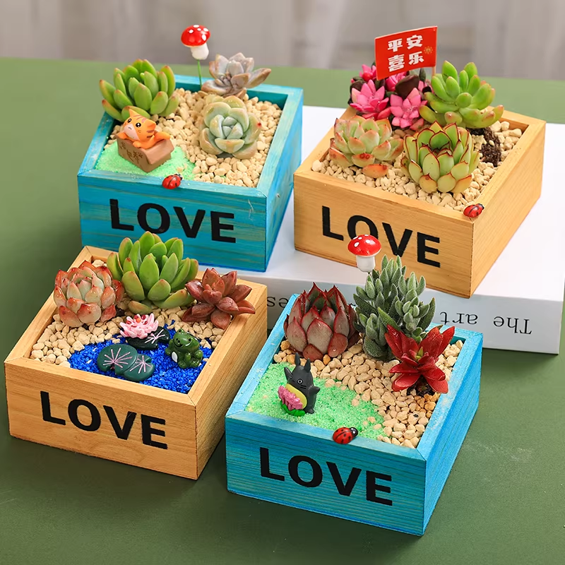 妇女节活动NO.2-木盒多肉微景观1 - 三八活动三八妇女节活动女神节活动