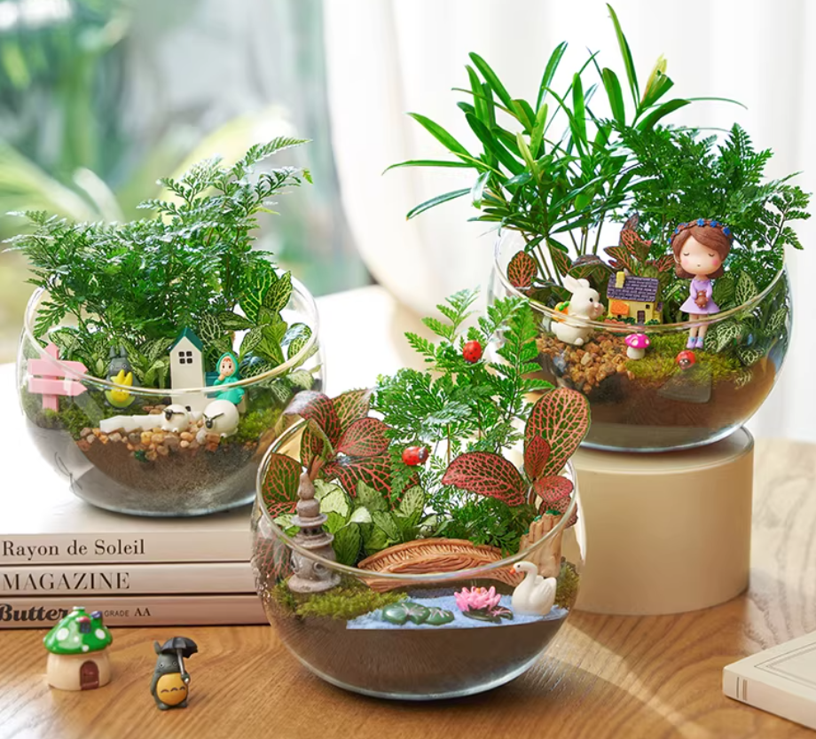 妇女节活动NO.2-微景观绿植 - 三八活动三八妇女节活动女神节活动