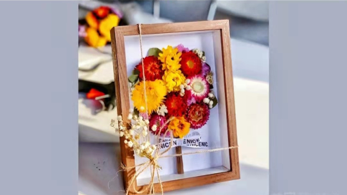 3f75a460e89ff92bce35907335597240.png 3f75a460e89ff92bce35907335597240.png