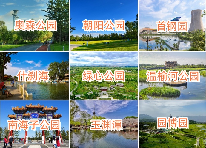 3cc309733cbe94c95590ccdf532a2ee1.jpg