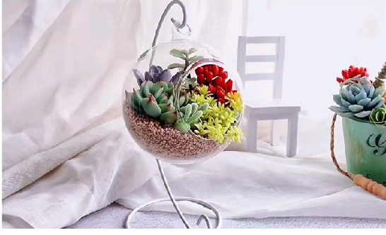 ef2c96c2424e2a76fd38ebfbf0e684f0.png ef2c96c2424e2a76fd38ebfbf0e684f0.png